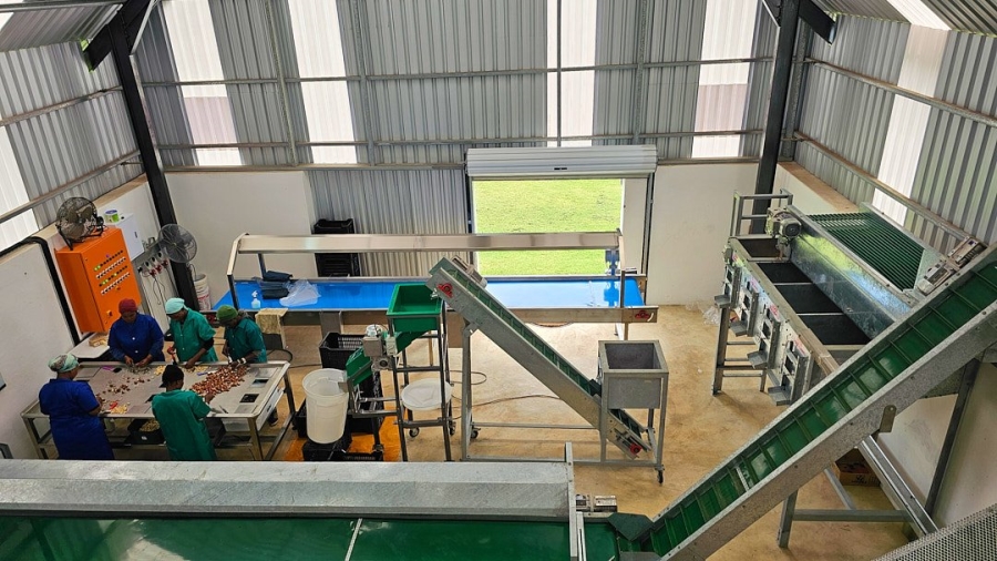Commercial Property for Sale in Paddock KwaZulu-Natal