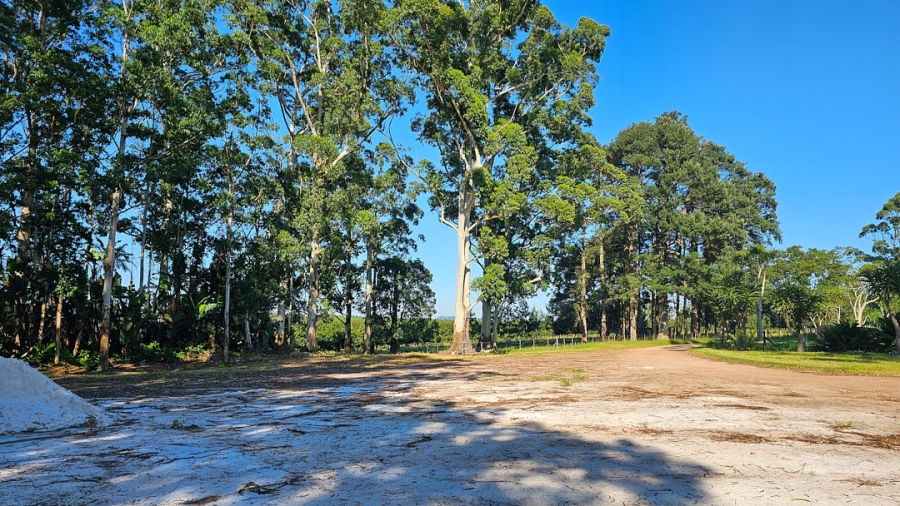 Commercial Property for Sale in Paddock KwaZulu-Natal