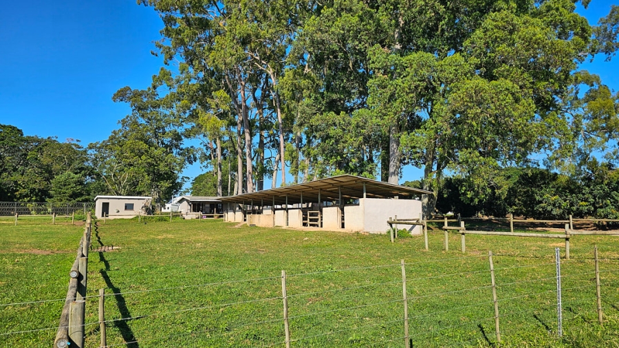 Commercial Property for Sale in Paddock KwaZulu-Natal