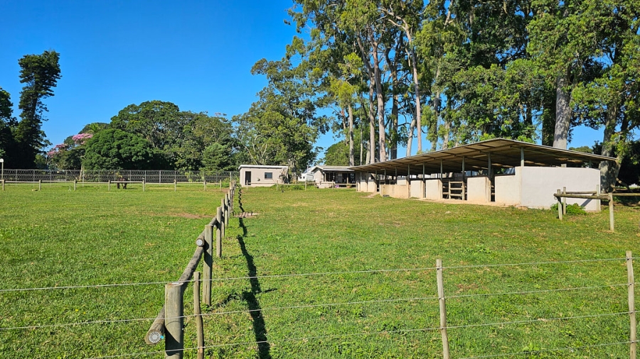 Commercial Property for Sale in Paddock KwaZulu-Natal