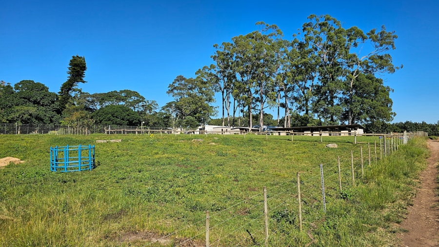 Commercial Property for Sale in Paddock KwaZulu-Natal