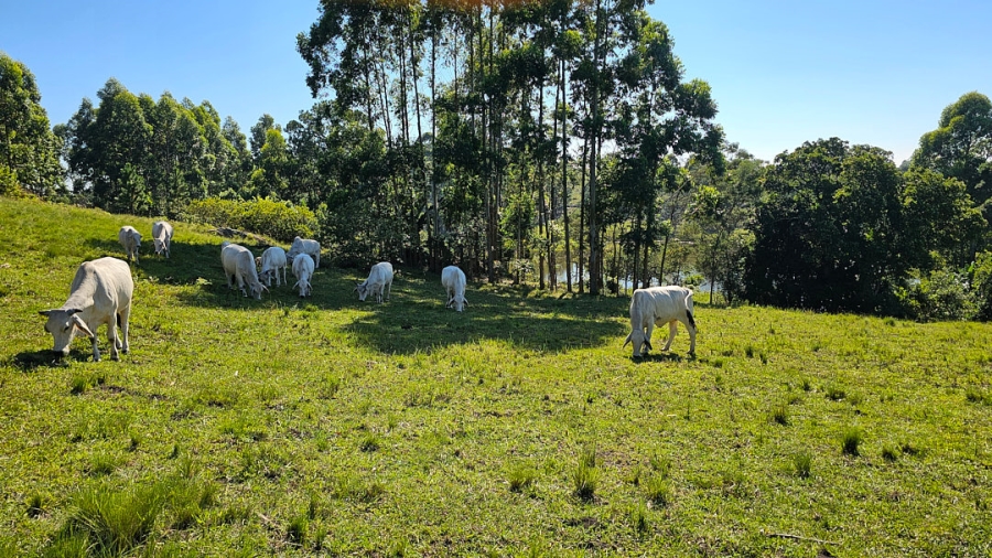 Commercial Property for Sale in Paddock KwaZulu-Natal