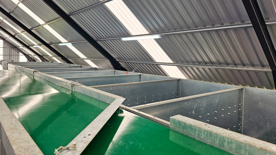 Commercial Property for Sale in Paddock KwaZulu-Natal
