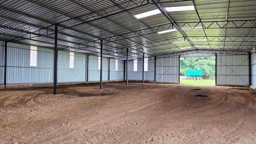 Commercial Property for Sale in Paddock KwaZulu-Natal