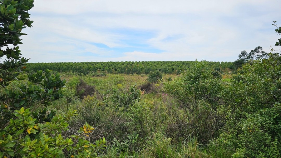 Commercial Property for Sale in Paddock KwaZulu-Natal