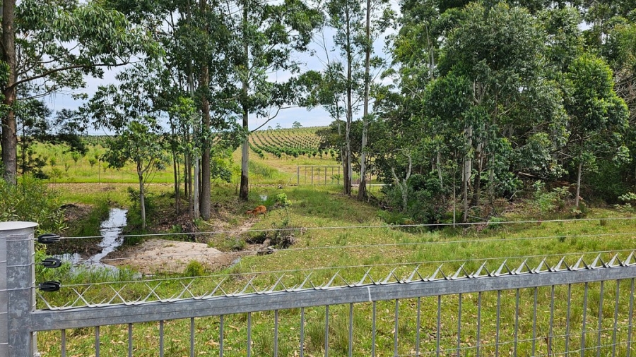 Commercial Property for Sale in Paddock KwaZulu-Natal