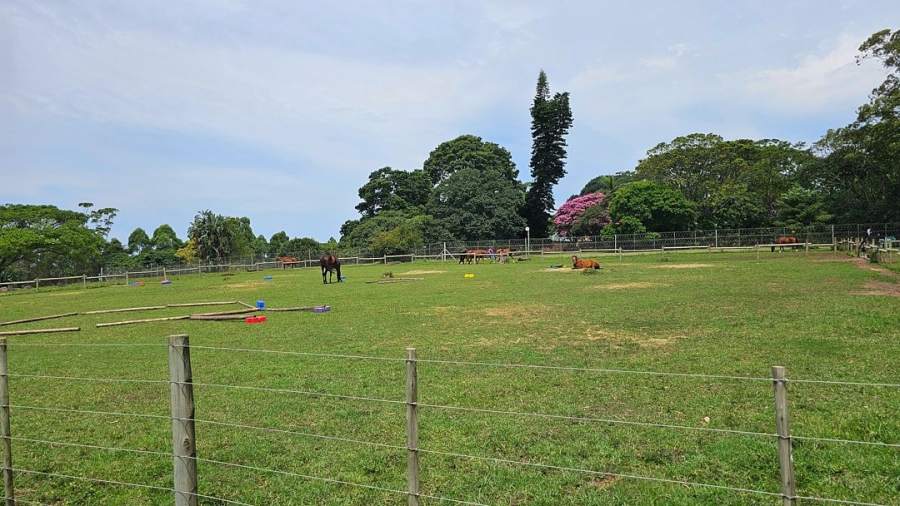 Commercial Property for Sale in Paddock KwaZulu-Natal