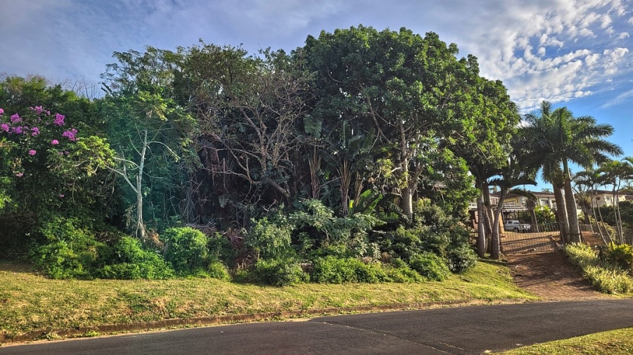 Commercial Property for Sale in St Michaels On Sea KwaZulu-Natal