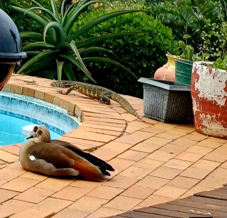 3 Bedroom Property for Sale in Umzumbe KwaZulu-Natal