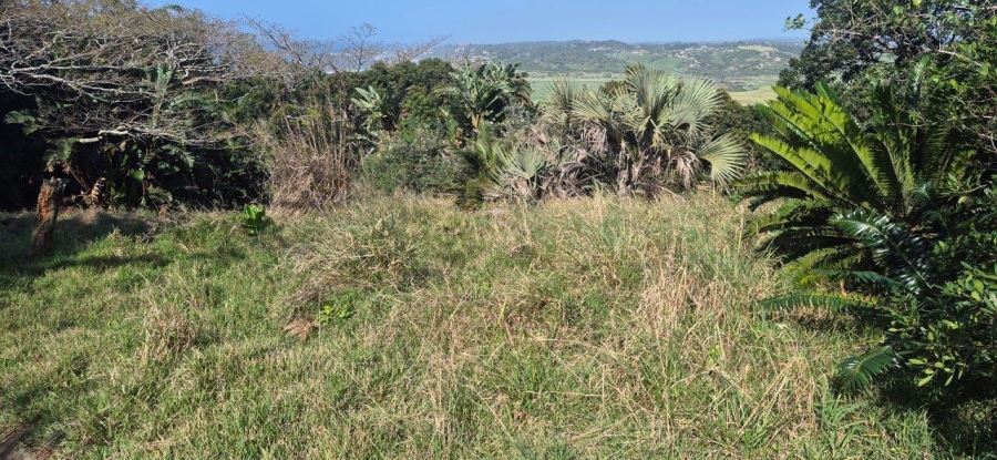 Commercial Property for Sale in Woodgrange KwaZulu-Natal