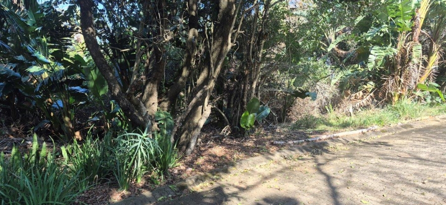 Commercial Property for Sale in Woodgrange KwaZulu-Natal