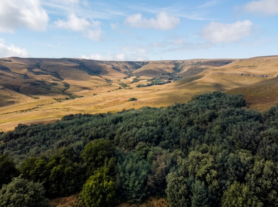 Commercial Property for Sale in Newcastle Rural KwaZulu-Natal