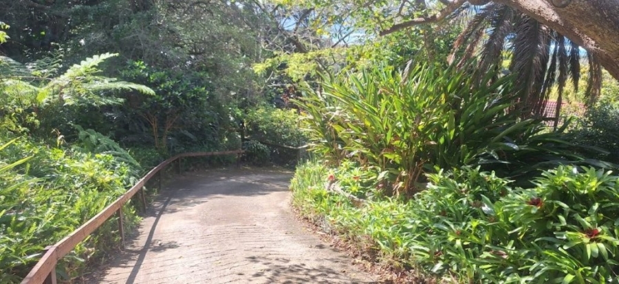 4 Bedroom Property for Sale in Elysium KwaZulu-Natal