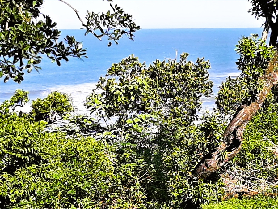 Commercial Property for Sale in Port Edward KwaZulu-Natal