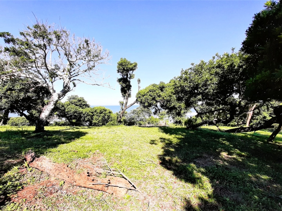 Commercial Property for Sale in Port Edward KwaZulu-Natal