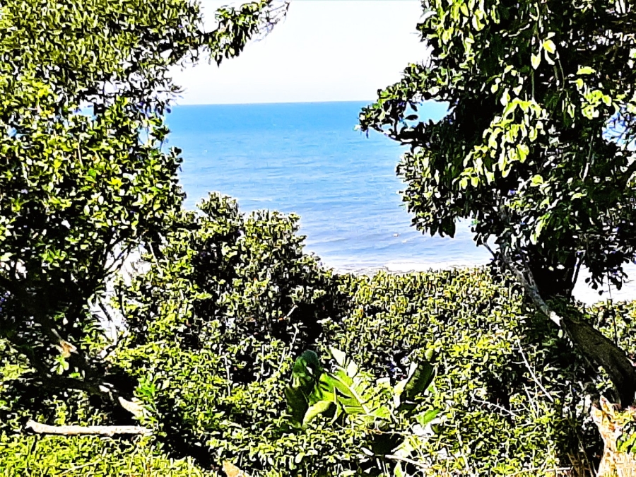 Commercial Property for Sale in Port Edward KwaZulu-Natal