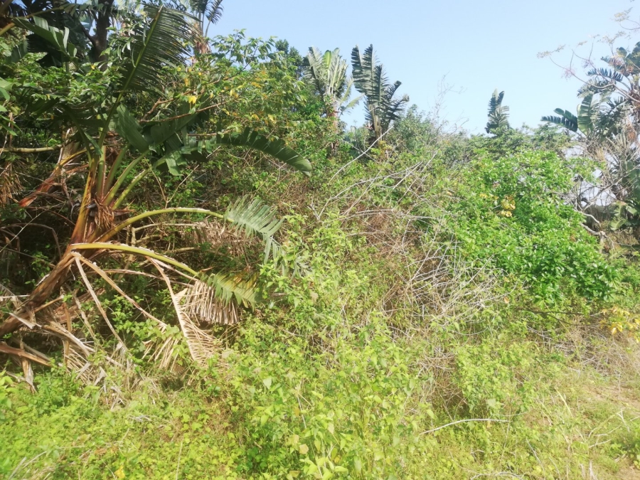 Commercial Property for Sale in Woodgrange KwaZulu-Natal