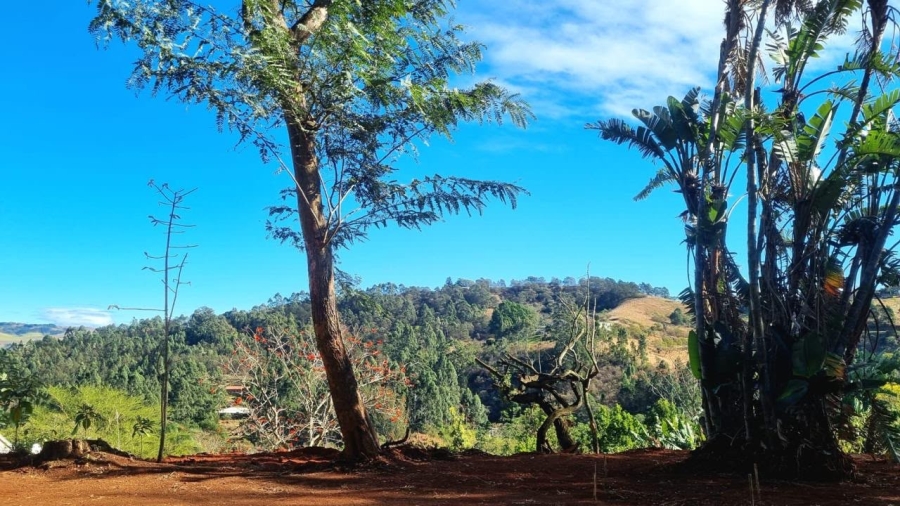 To Let 2 Bedroom Property for Rent in Peacevale KwaZulu-Natal