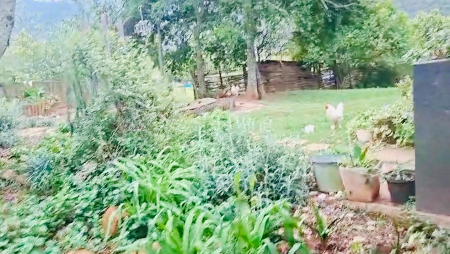 To Let 5 Bedroom Property for Rent in Byrne KwaZulu-Natal