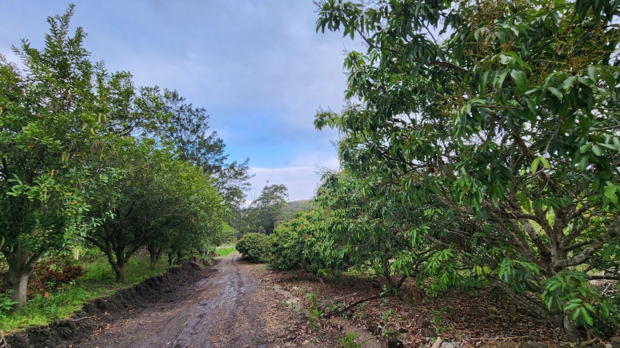 Commercial Property for Sale in Louisianna KwaZulu-Natal