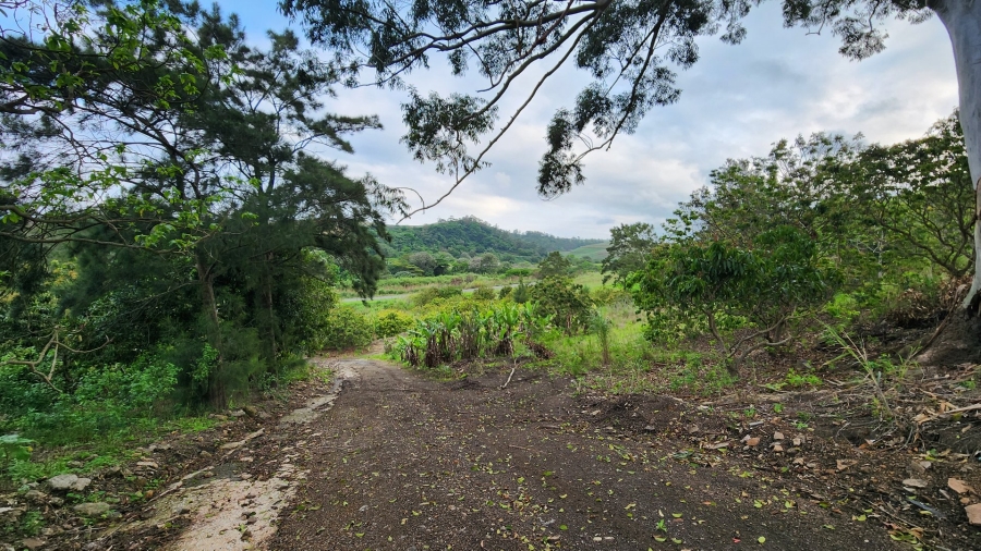 Commercial Property for Sale in Louisianna KwaZulu-Natal