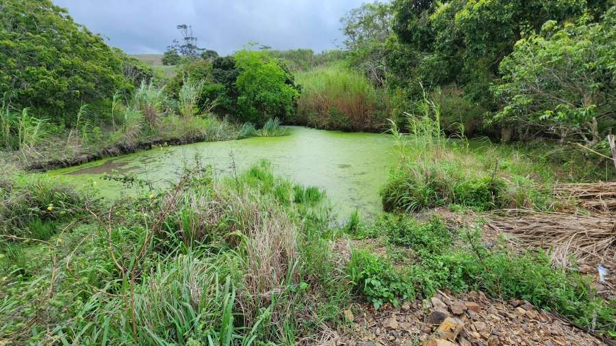 Commercial Property for Sale in Louisianna KwaZulu-Natal