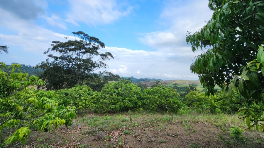 Commercial Property for Sale in Louisianna KwaZulu-Natal