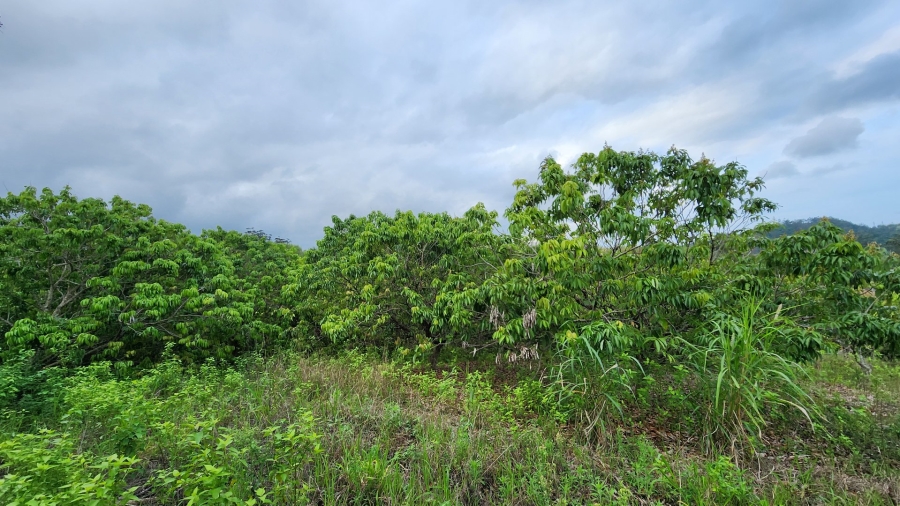 Commercial Property for Sale in Louisianna KwaZulu-Natal