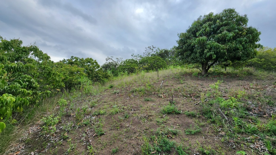 Commercial Property for Sale in Louisianna KwaZulu-Natal