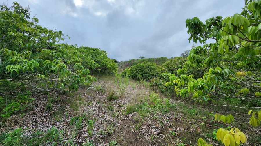 Commercial Property for Sale in Louisianna KwaZulu-Natal