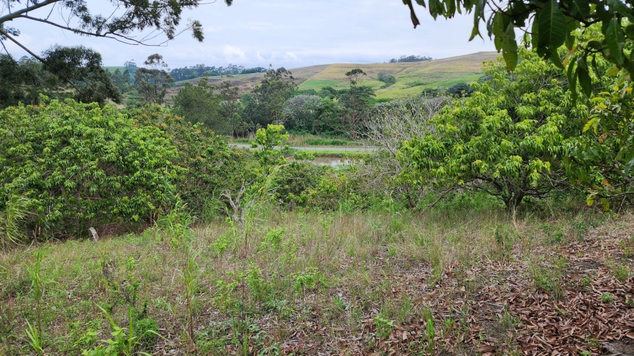 Commercial Property for Sale in Louisianna KwaZulu-Natal