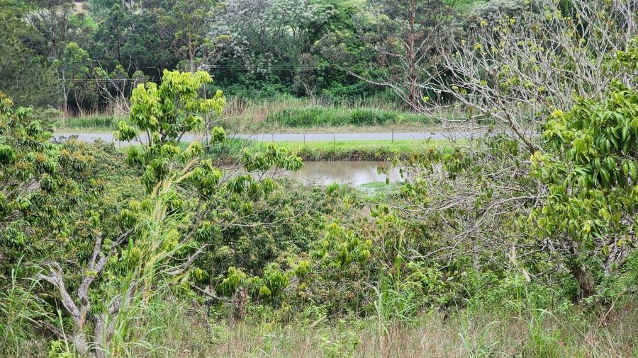 Commercial Property for Sale in Louisianna KwaZulu-Natal