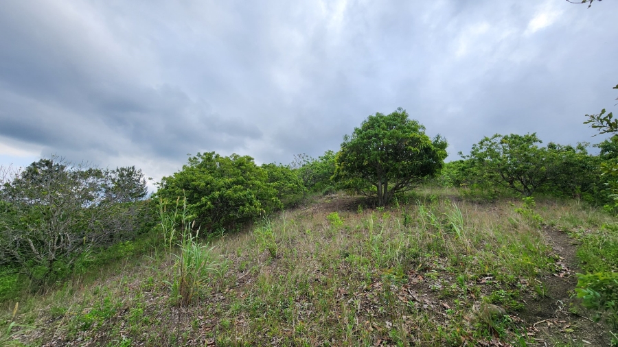 Commercial Property for Sale in Louisianna KwaZulu-Natal