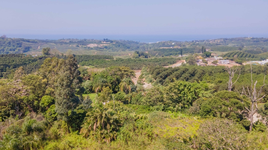 Commercial Property for Sale in Ramsgate KwaZulu-Natal