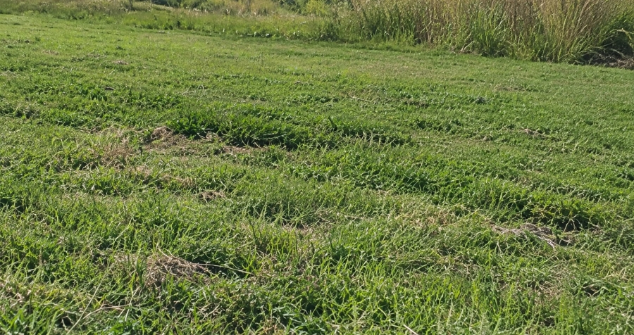 Commercial Property for Sale in Amajuba Park KwaZulu-Natal