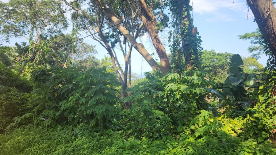 Commercial Property for Sale in Umtentweni KwaZulu-Natal