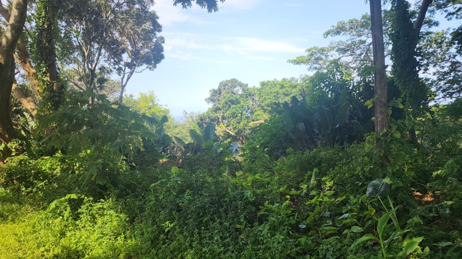 Commercial Property for Sale in Umtentweni KwaZulu-Natal
