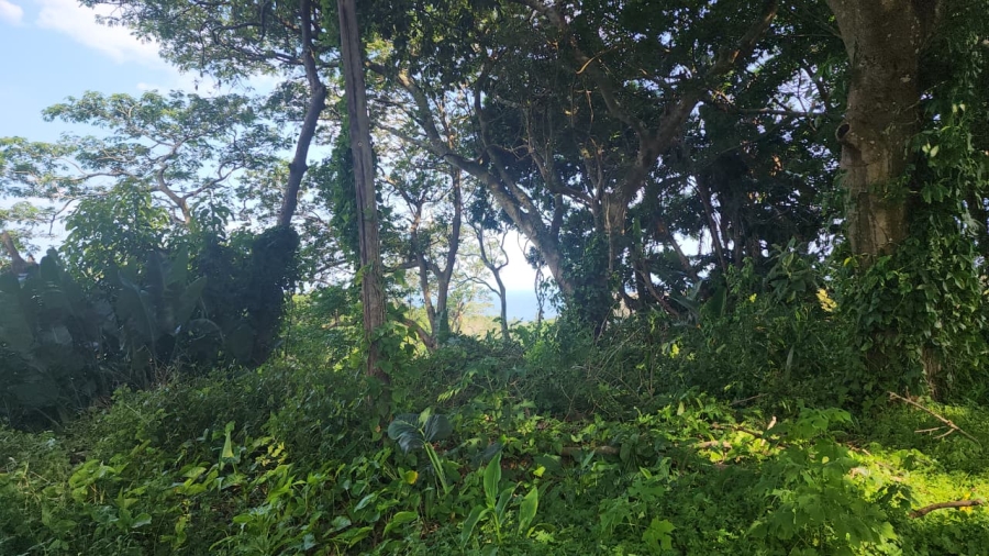 Commercial Property for Sale in Umtentweni KwaZulu-Natal