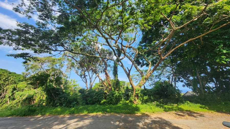 Commercial Property for Sale in Umtentweni KwaZulu-Natal
