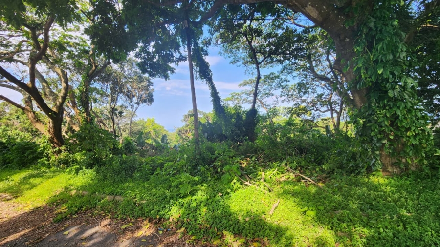Commercial Property for Sale in Umtentweni KwaZulu-Natal