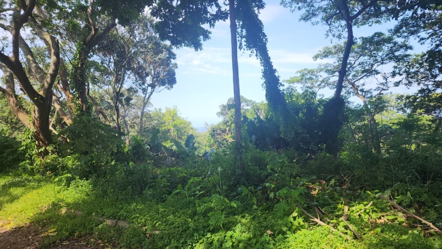 Commercial Property for Sale in Umtentweni KwaZulu-Natal