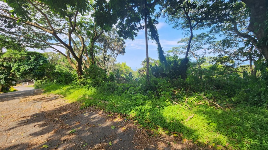Commercial Property for Sale in Umtentweni KwaZulu-Natal