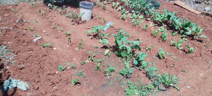 3 Bedroom Property for Sale in Panorama Gardens KwaZulu-Natal