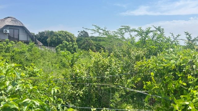  Bedroom Property for Sale in Meer En See KwaZulu-Natal