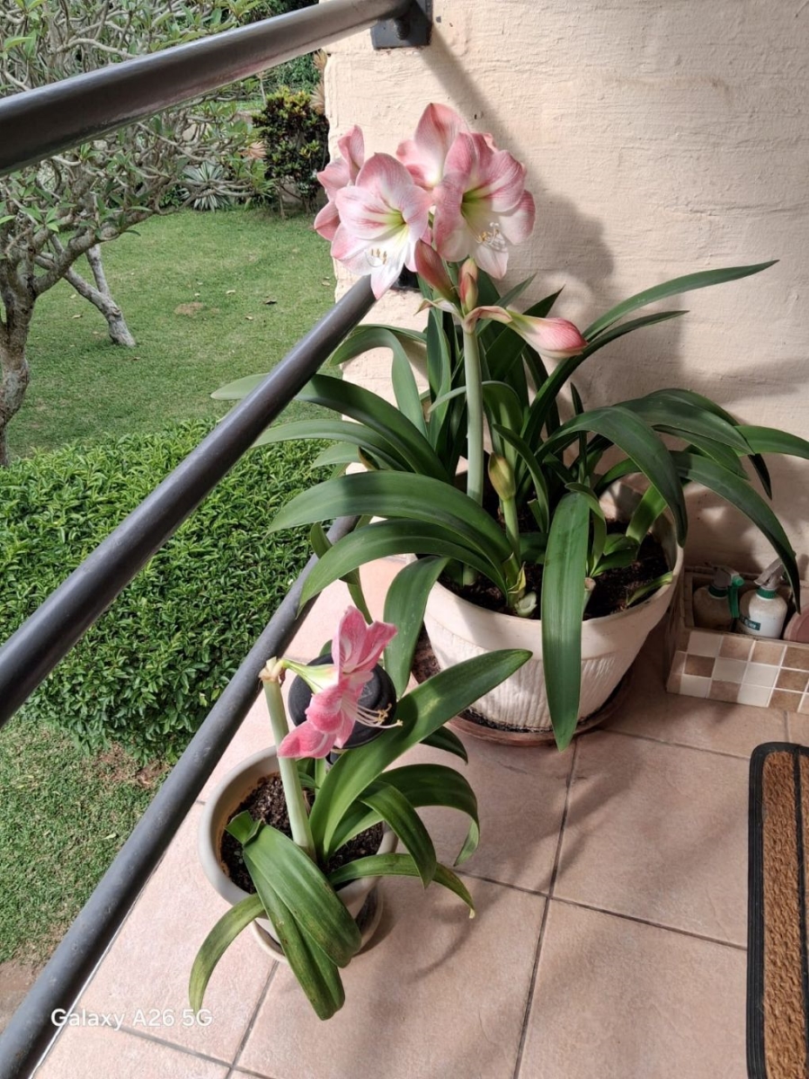 2 Bedroom Property for Sale in Umtentweni KwaZulu-Natal