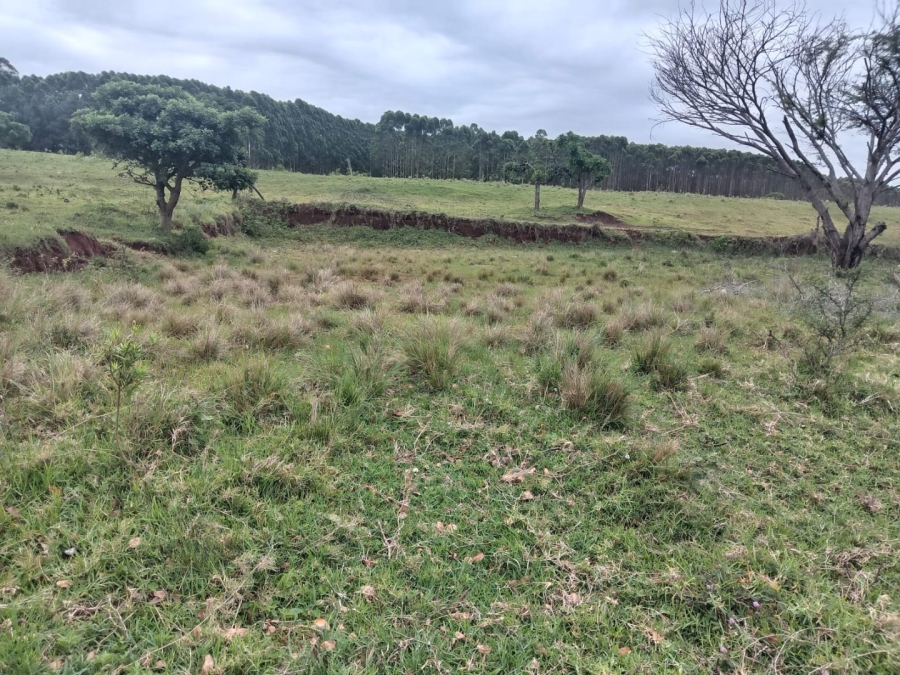 Commercial Property for Sale in Esikhawini KwaZulu-Natal