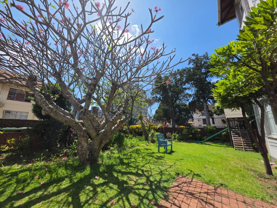 To Let 3 Bedroom Property for Rent in Musgrave KwaZulu-Natal