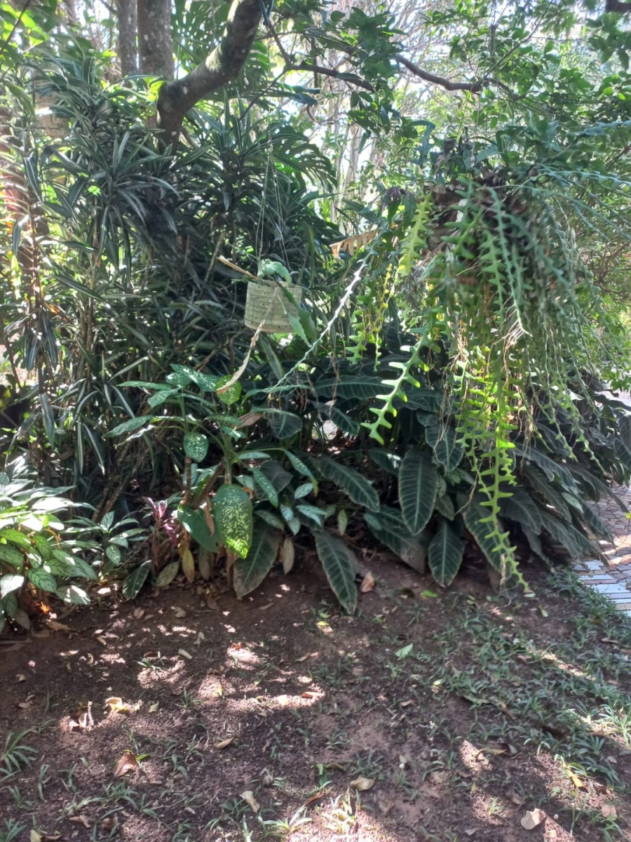 4 Bedroom Property for Sale in Marina Beach KwaZulu-Natal