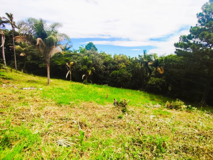 Commercial Property for Sale in Ramsgate KwaZulu-Natal
