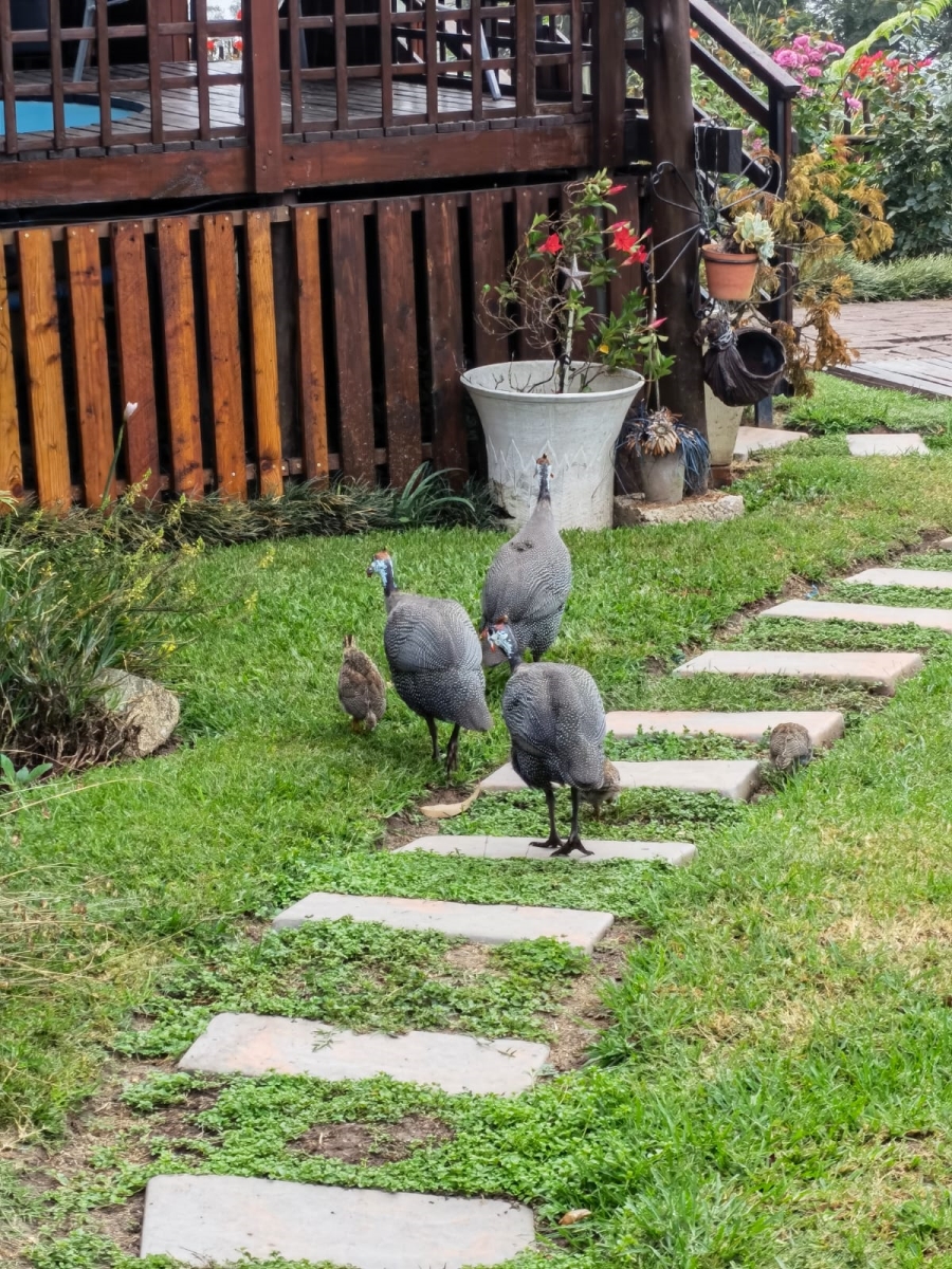 2 Bedroom Property for Sale in Inchanga KwaZulu-Natal